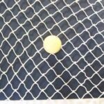 Netting with golf ball